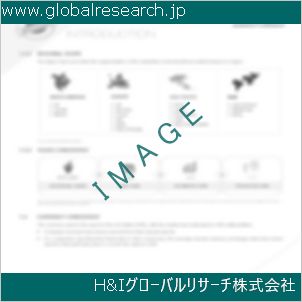 グローバルリサーチ調査資料のイメージ